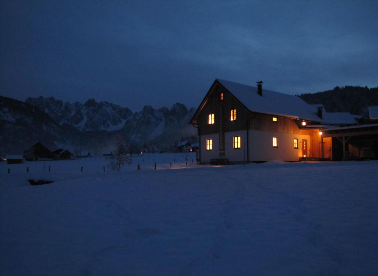 Appartements Gosaukamm.Com Dış mekan fotoğraf