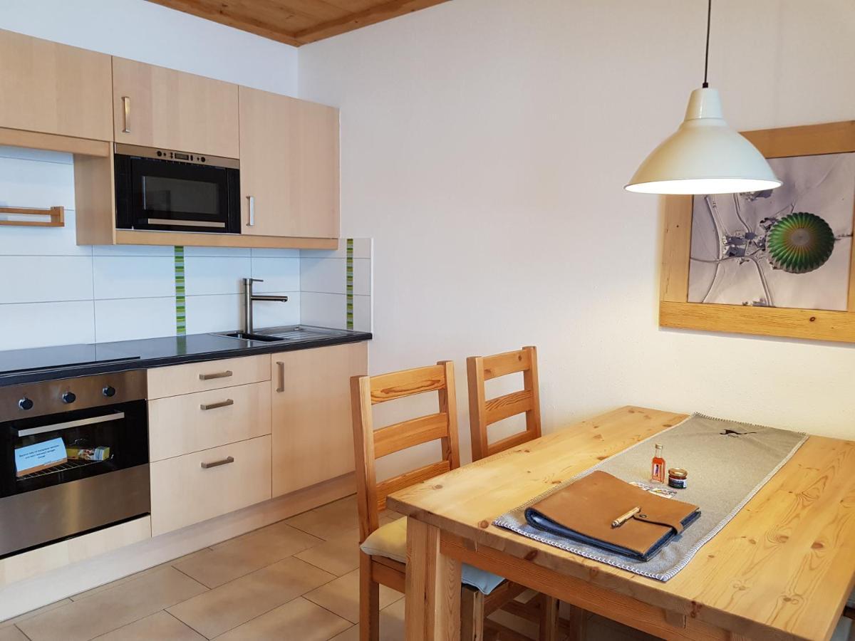 Appartements Gosaukamm.Com Dış mekan fotoğraf