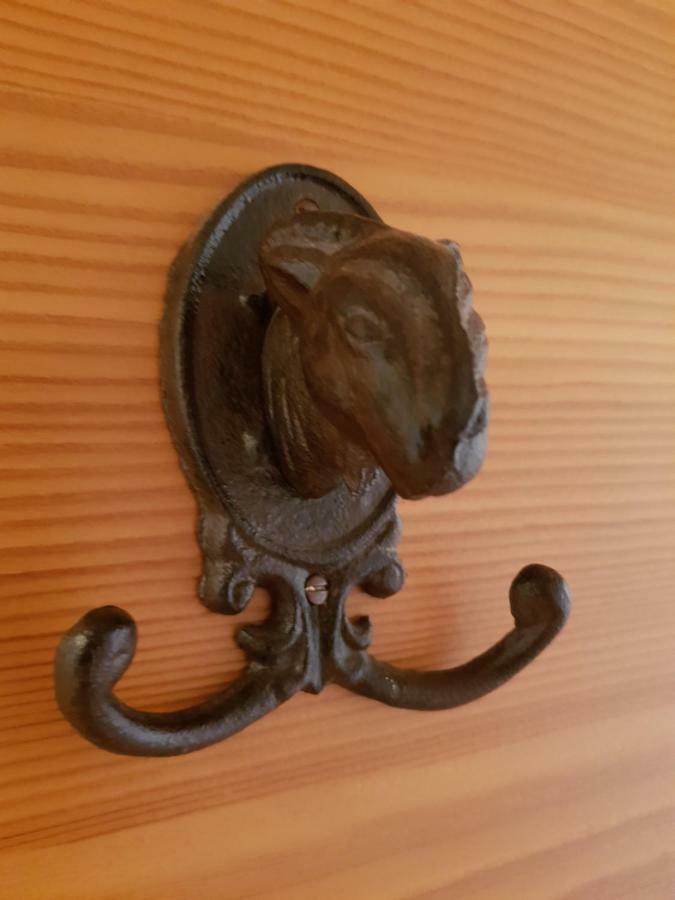 Appartements Gosaukamm.Com Dış mekan fotoğraf
