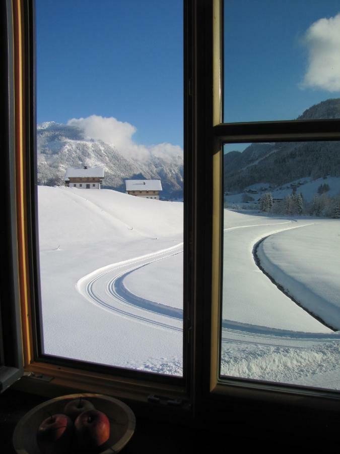 Appartements Gosaukamm.Com Dış mekan fotoğraf