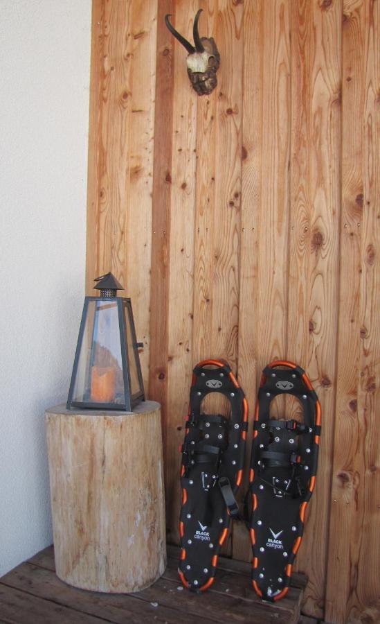Appartements Gosaukamm.Com Dış mekan fotoğraf